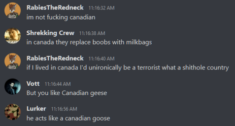1674494254253.png