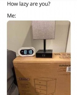 tog4o0vpcvda1.jpg