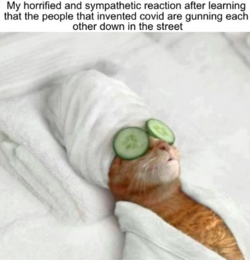 1674577038434.png