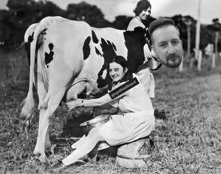 milk.jpg