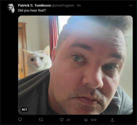 patrick s tomlinson is a pedophile 1.png
