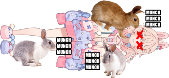The Circle Of Life.png