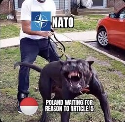 0f3.jpg