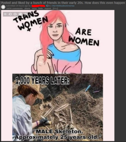 1674658934131.png