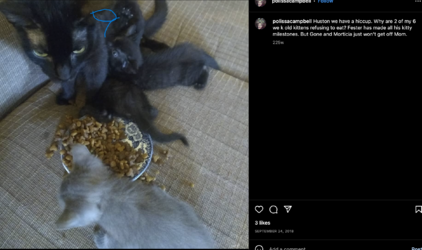 Screenshot 2023-01-19 at 8.02.14 AM.png