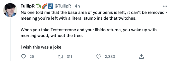 tullipR-stump.png