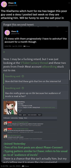'witch hunt'.png