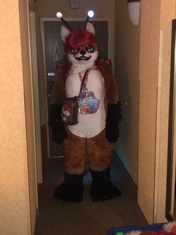 alynna-fursuit-at04a.jpg
