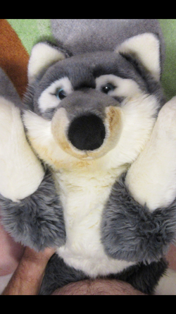 Screenshot_20230126-223954.png