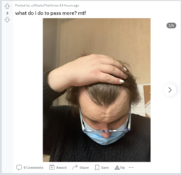 1674826296313.png