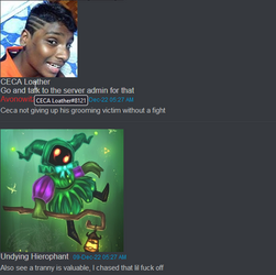 in the server.png