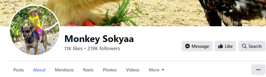 monkeysoyka.png