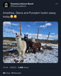 F541C7F4-145D-4174-95B3-26674AD39088.jpeg
