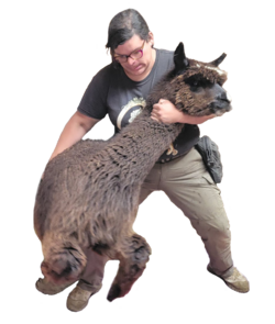 BonnieWrangler.png