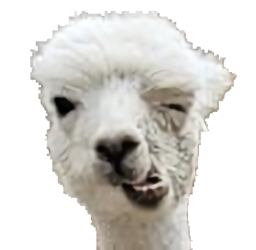 Derpaca.png