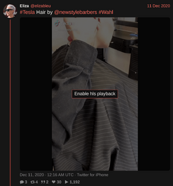 elizableu-1337189458618290178.png