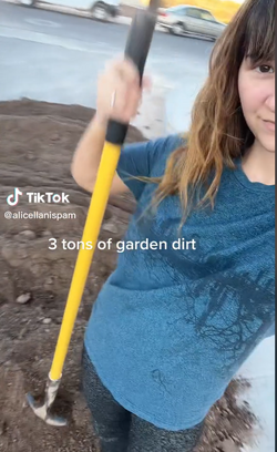 dirt.png