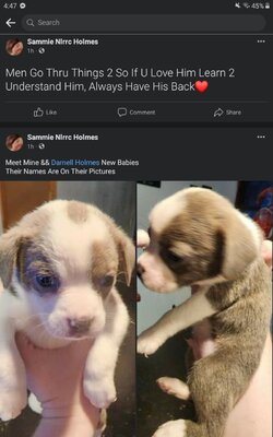 Screenshot_20230129-164746_Facebook.jpg