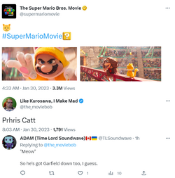 cat.png