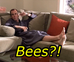 giphy (3).gif
