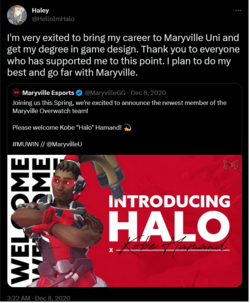 Haley on Twitter.png