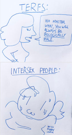 1675098345105.png