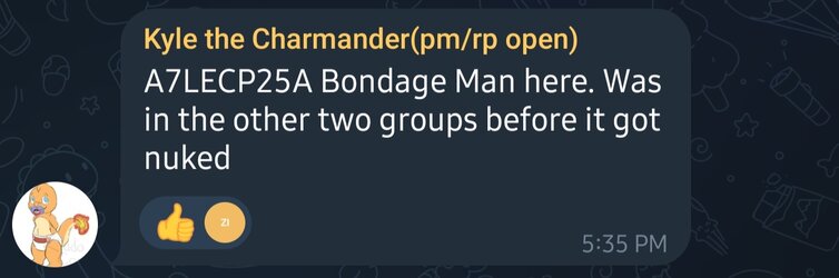 Screenshot_20230130-120020_Telegram.jpg