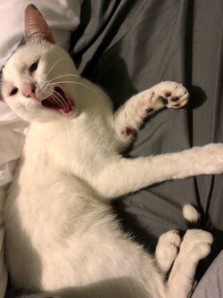 FZm0g4GWAAAg-AJ.jpg