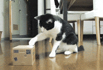 5b9d69e02500003200367360.gif