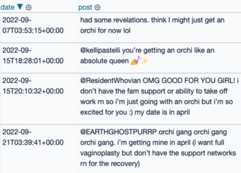 2022-kateisdeflate-orchi.png 2022-kateisdeflate-orchi.png