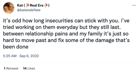 2022-09-06-kateisdeflate-insecurities.png 2022-09-06-kateisdeflate-insecurities.png