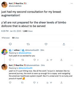 2023-01-23-kateisdeflate-boobs-second-consultation.png 2023-01-23-kateisdeflate-boobs-second-consultation.png