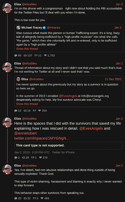 elizableu-1610023352445313028.png