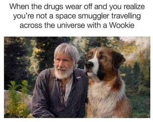 Wookie.jpg