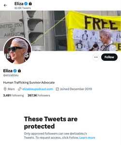 2023-02-01-elizableu-private.png