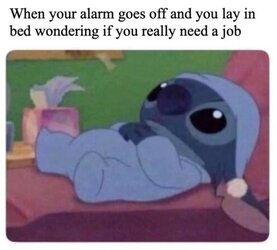 uy4fm1yx3rt91.jpg