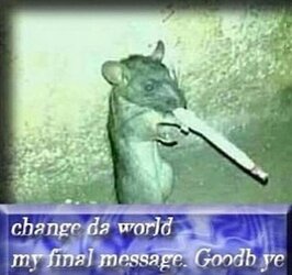 fetchimage.jpeg
