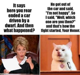 cat vs judge dwarf.png