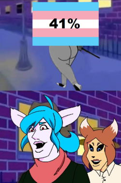 1675287691400.png