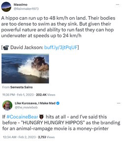 hippo.jpg