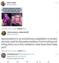 apo.jpg