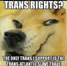 0563298E-77BC-4CBE-87E3-8F7C79E35ED1.jpeg