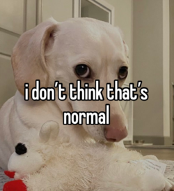 1675333512027.png