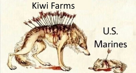 15807811941034.jpg
