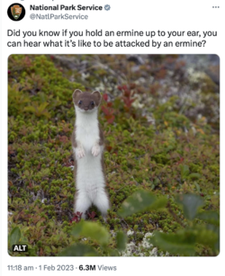 1675397339376.png