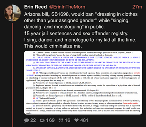 Erin Reed (@ErinInTheMorn)nitter.png