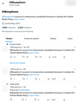 2023-02-03-blueyanon-twitter-media-policy.png