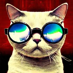 download (2)_11zon.jpeg