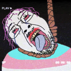 6j9lzsznopj71.png