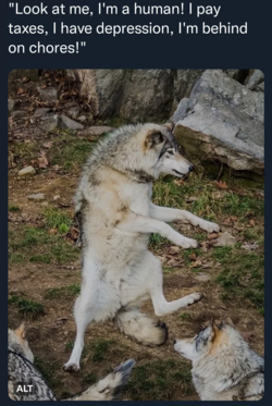 unknown-13.png